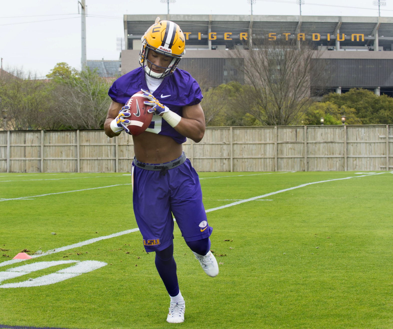 lsufootball357.031217.jpg